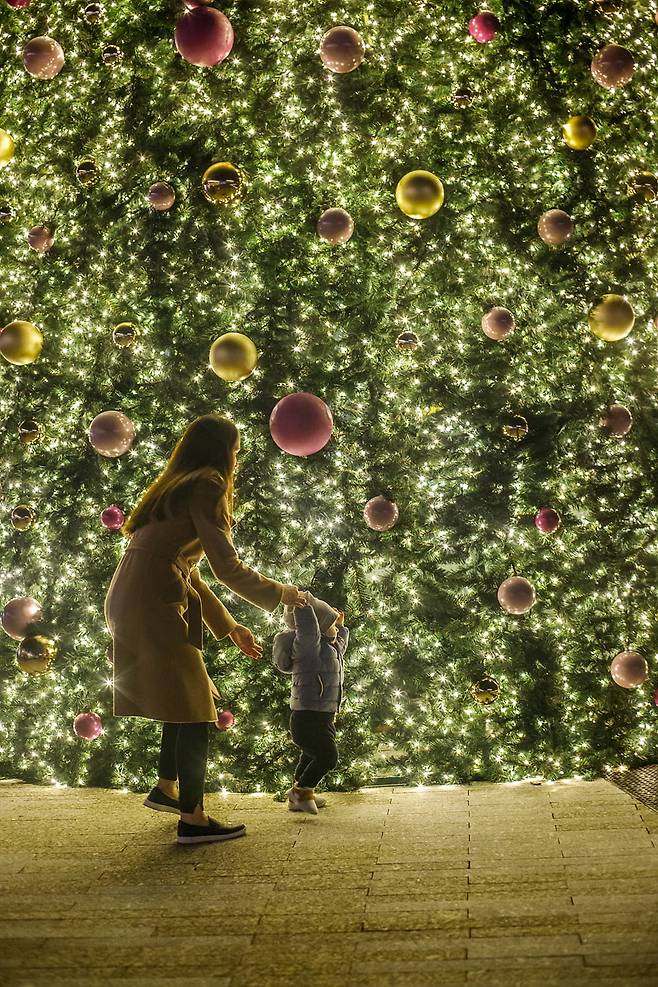 포르투 복합문화지구 WOW(WOW The Cultural District, Porto)의 크리스마스 시즌