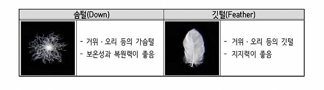 /사진제공=소비자원.