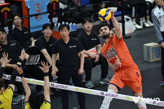 디미트로프/KOVO