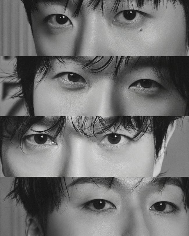 비트인터렉티브 제공