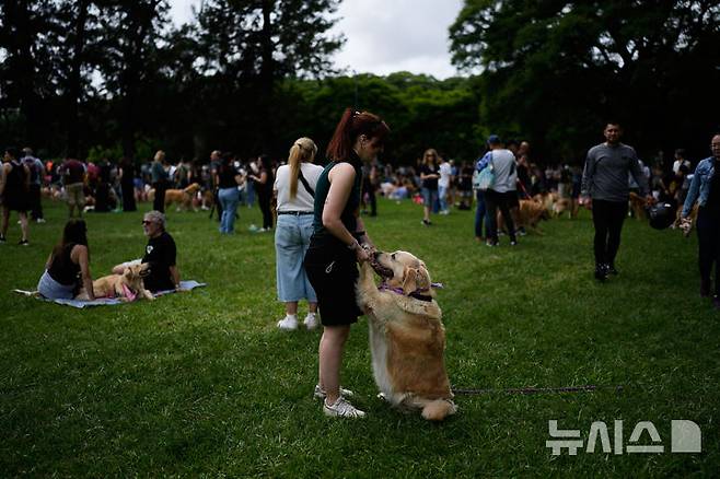 [부에노스아이레스=AP/뉴시스] 8일(현지 시간) 아르헨티나 부에노스아이레스 팔레르모 공원에서 열린 세계에서 가장 많은 골든 리트리버가 한자리에 모이는 세계 기록 도전 행사에 참가한 참가자들이 반려견과 즐거운 시간을 보내고 있다. 2025.12.09.