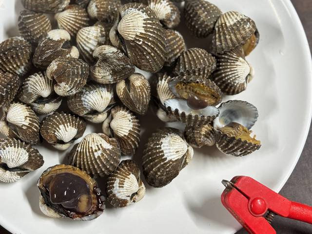 서울 강남구 역삼동에 있는 ‘마시리 벌교참꼬막’에서 맛볼 수 있는 살짝 익힌 참꼬막.