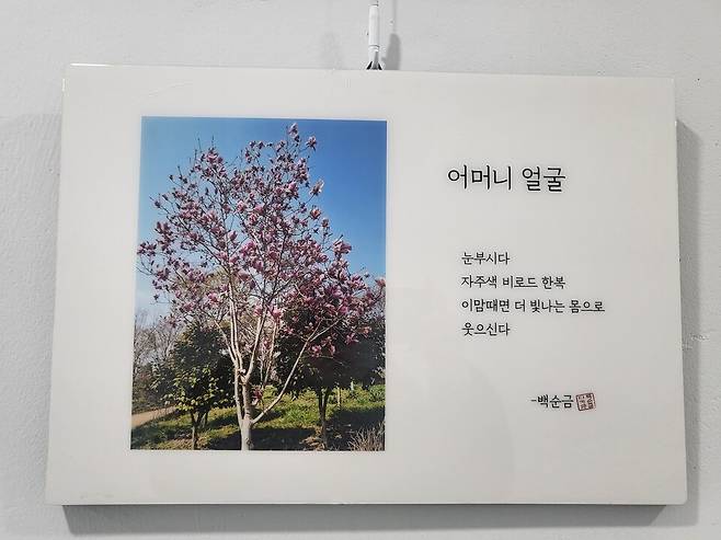 고성군종합사회복지관 다시봄갤러리 내 디카시 작품 ⓒ고성군 제공