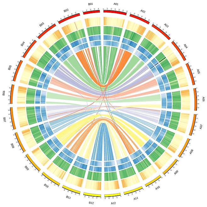 유전체 지도 .<국립호남권생물자원관 제공>