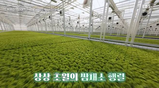 '이웃집 백만장자'