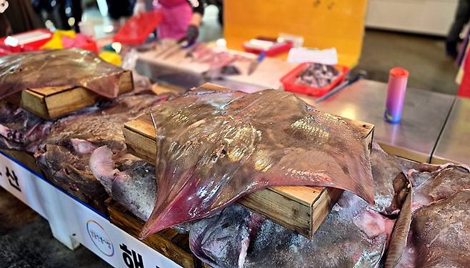 커다란 홍어를 마음껏 볼 수 있는 양동시장.