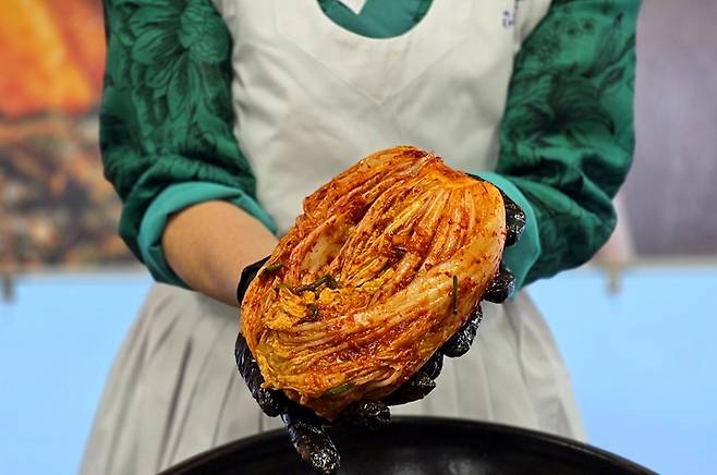 명인이 버무려진 김치를 보이고 있다.