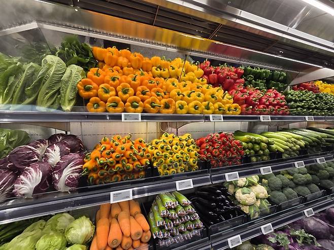 사진=안혜원 기자