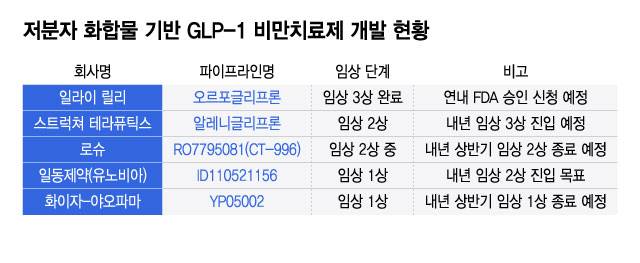 저분자 화합물 기반 GLP-1 비만치료제 개발 현황/디자인=윤선정