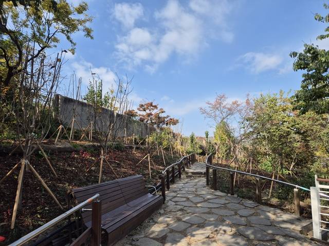 종로구 맹학교 무장애 나눔숲 조성 모습. 서울시청 제공