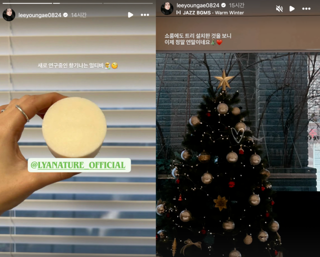 이영애가 화장품 사업에 몰두하고 있는 근황을 전했다. / 이영애 인스타그램