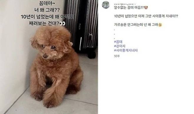 주사 이모 A씨가 SNS에 올린 글. 사진l온라인 커뮤니티 캡처