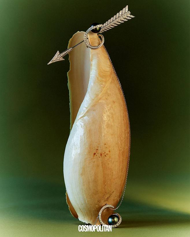 (위부터)화살을 표현한 플레쉬 다이아몬드 브로치 3천만원대 Boucheron. 다이아몬드가 진주를 감싼 디자인의 오로라 링, 오로라 네크리스 모두 가격미정 Tasaki.