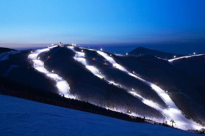 하이원리조트 스키장 야경