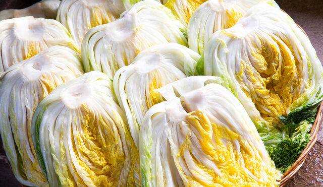 클립아트코리아