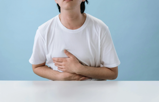 기사 이해를 돕기 위한 이미지