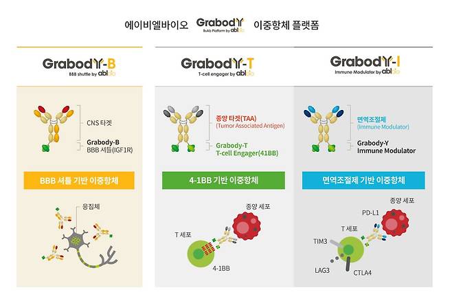 에이비엘바이오가 독자 개발한 이중항체 플랫폼 3종./에이비엘바이오