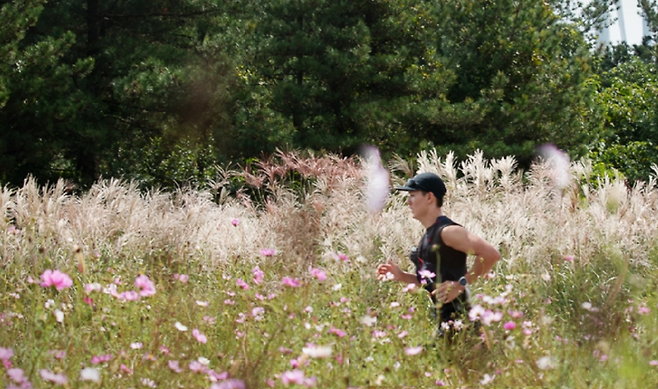 가을 숲길을 달리는 트레일 러너. 해안과 도심을 넘어 숲과 중산간으로 러닝 동선이 확장되고 있다. (제주관광공사)