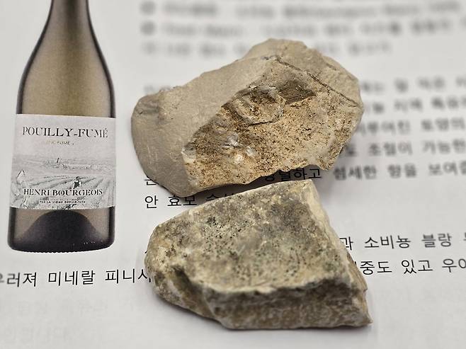 실렉스. 최현태 기자