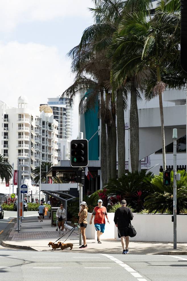 한가로운 오후 풍경, Canon EOS R6 Mark I Ⓟ이주항(@_hang2_)