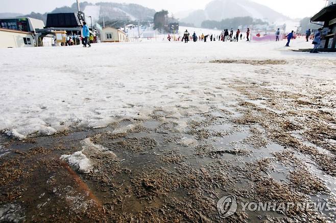 '눈 녹은 슬로프' [연합뉴스 자료사진]