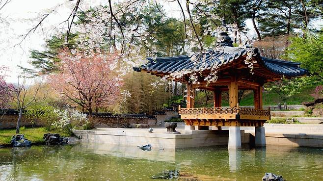 경기도 용인에 있는 호암미술관 정원 '희원'.  한국 전통정원의 멋을 그대로 보여준다는 평가를 받는다. /조경설계 서안