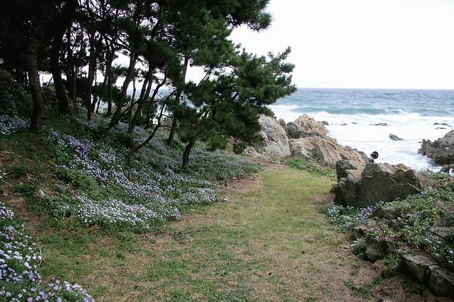 경북 포항 별서정원. 바다와 해송 등 자연경관을 그대로 담아냈다. /조경설계 서안