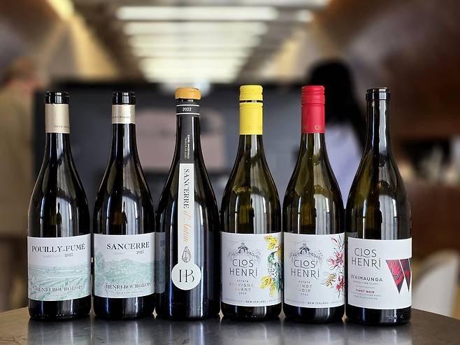 프랑스 루아르 앙리 부르주아와 뉴질랜드 말보로 끌로 앙리 와인. 최현태 기자