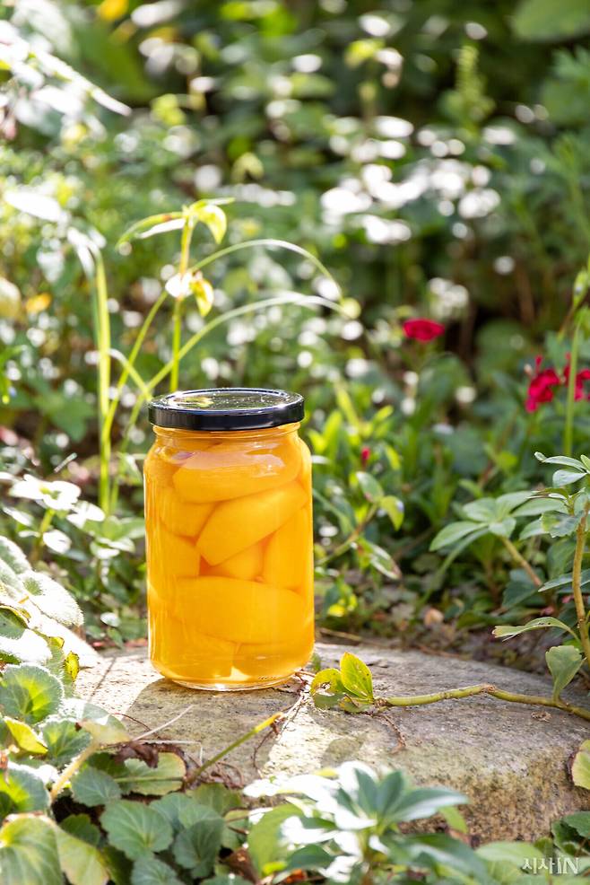 황도씨가 나고 자란 경기 이천시 장호원은 복숭아가 흔한 동네였다. 농장에서 파지를 사서 만든 병조림으로 겨울을 났다. ⓒ시사IN 신선영