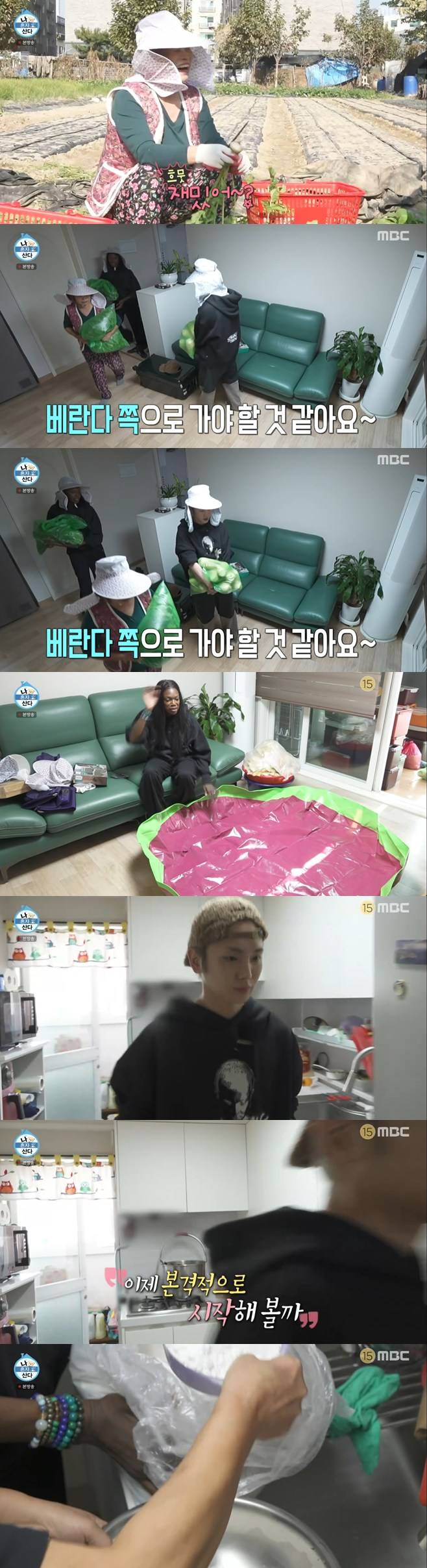 티브이데일리 포토