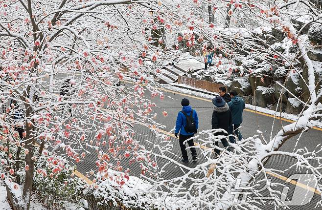 지난 밤 내린 눈이 쌓인 14일 서울 용산구 남산공원을 찾은 시민들이 겨울풍경을 만끽하고 있다. 2025.12.14/뉴스1 ⓒ News1 이호윤 기자