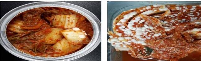 김치의 흰 알갱이는 곰팡이가 아닌, 골마지다. [세계김치연구소 제공]
