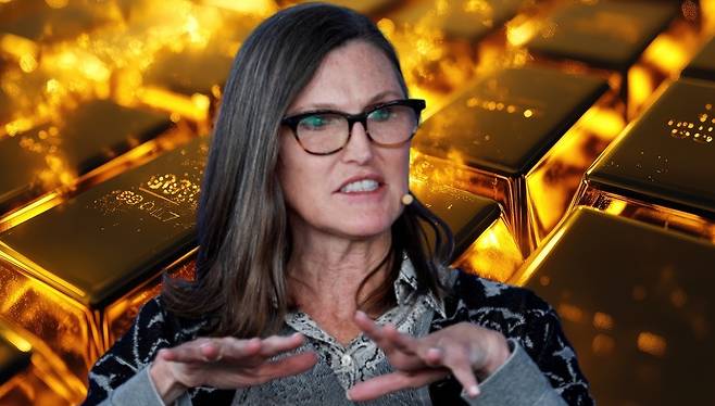 캐시 우드 아크인베스트먼트 최고경영자 [헤럴드DB]