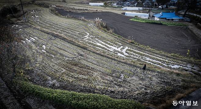 지난달 28일 대용의 고향을 찾은 아들 성식이 팔려버린 논 위에 서서 땅을 바라 보고 있다. 논 오른편으로는 아버지가 그토록 돌아가고 싶어 했던 어린 시절 옛집이 보인다.