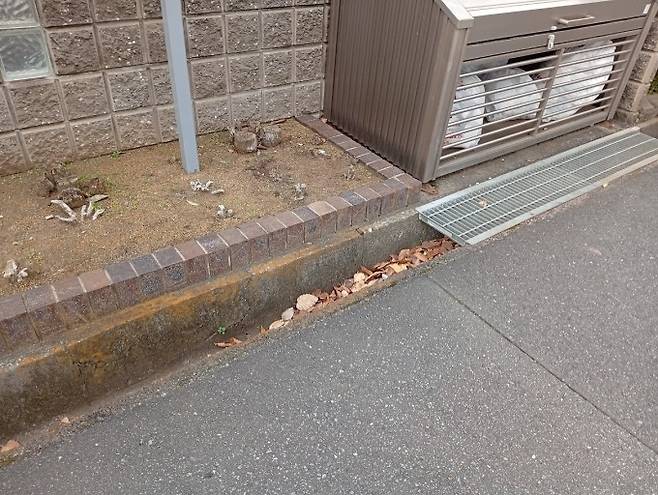 이정민 양이 관찰한 일본 도심의 배수로. 일자로 길게 이어져 있다. 이정민 제공