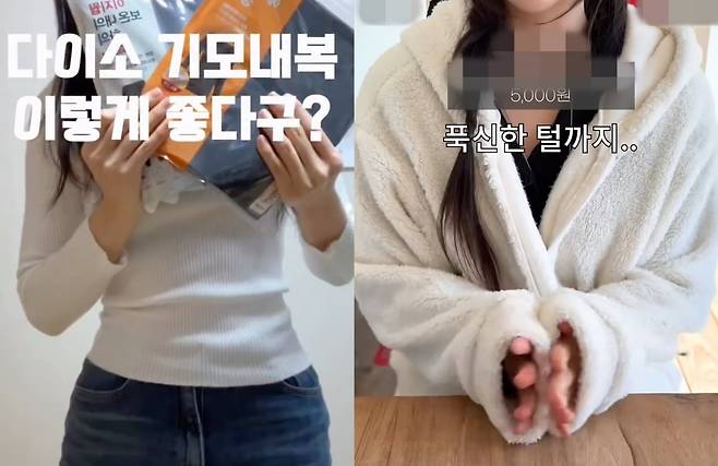 다이소 겨울 의류를 입은 인플루언서 모습. /출처=인스타그램, 유튜브