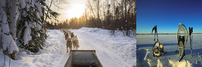 “발토, 달려!”