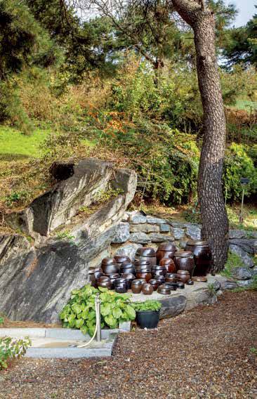 소나무 아래에 놓인 자연석을 다듬어 만든 장독대.