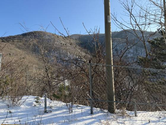 14일 설악산국립공원 일대에 설치된 ASF 차단 울타리 일부가 철거된 모습. 천권필 기자