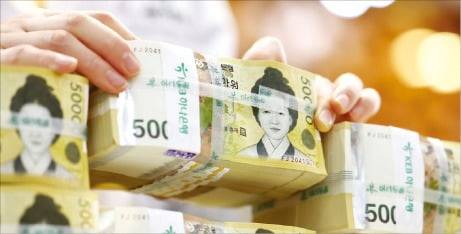 시중은행 한 관계자가 5만원권을 정리하고 있다. /사진=연합뉴스