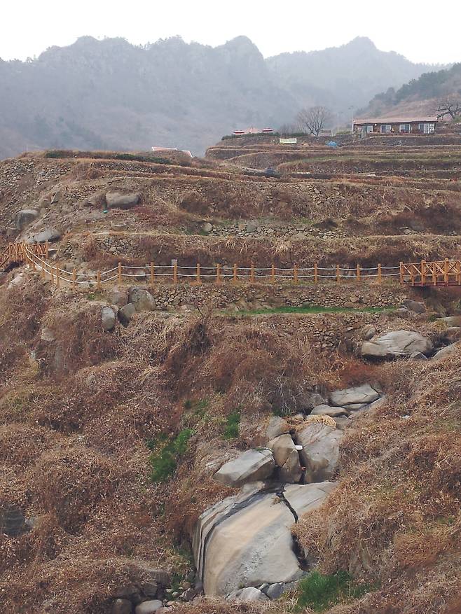 다랭이 마을을 관통하는 개울 바닥에 화강암이 드러나 있다. 주변 토양 침식 때문에 드러난 핵석들이 보인다o 김영사 제공