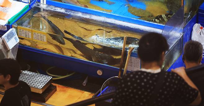 서울 노량진 수산시장에서 시민들이 광어, 우럭 등 활어를 살펴보고 있다.[연합]