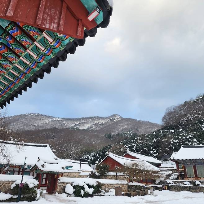 선운산과 선운사의 모습