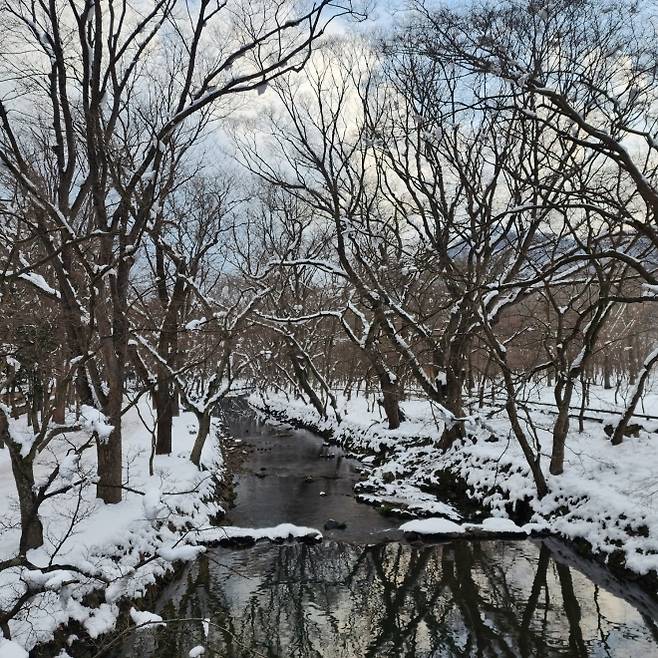 선운사 계곡길 풍경