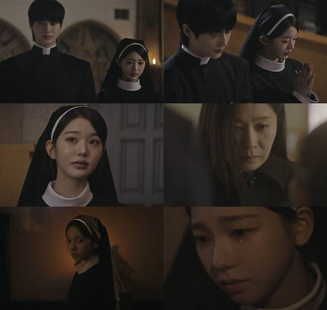 유튜브 '돌고래유괴단' 채널