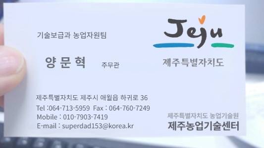 위조 명함 / 사진=제주도