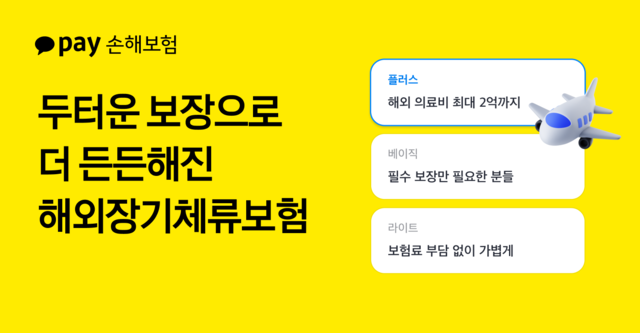 [카카오페이손해보험 제공]