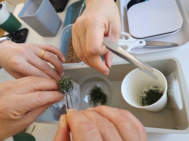 밀새싹힐링팜 새밀싹 차만들기 체험