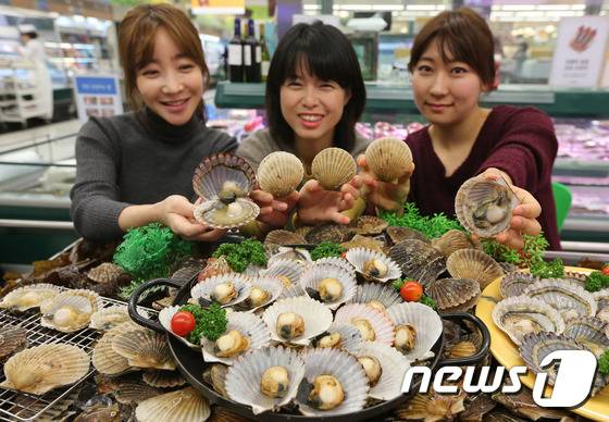 국내에서 양식한 활가리비. /뉴스1 ⓒ News1 송원영 기자