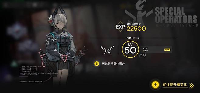 게임 플레이를 통해 레벨이 오른다